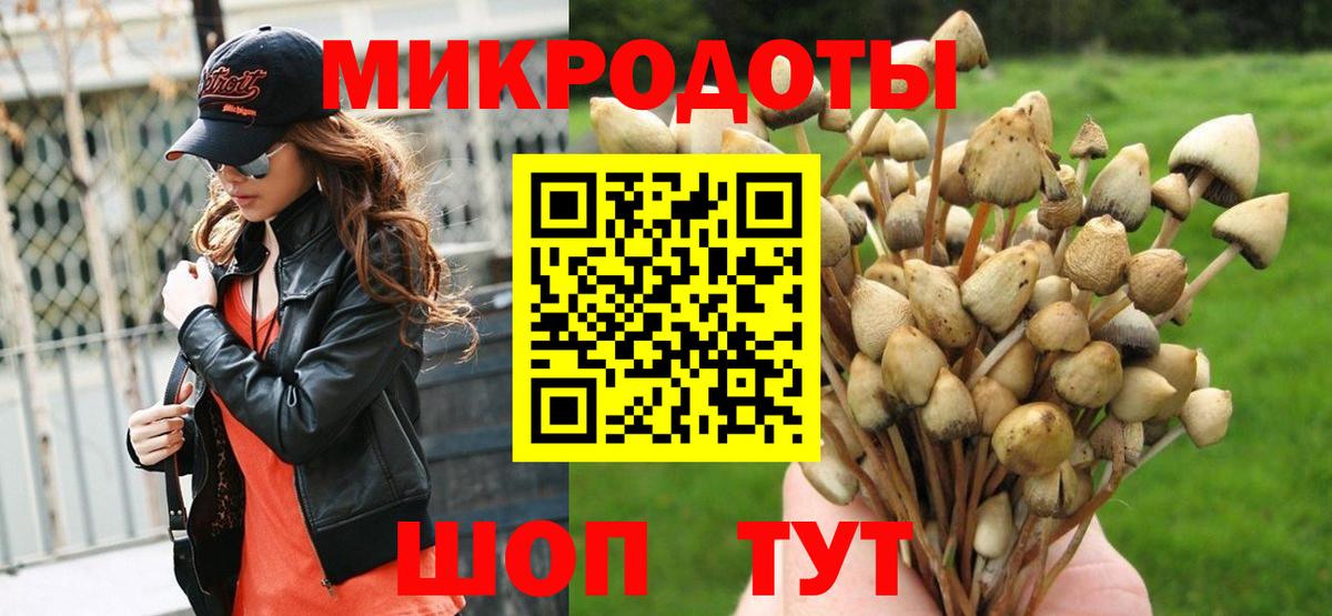 Псилоцибиновые грибы прущие грибы  Вход с VPN  магазин  наркотиков  Кизляр 